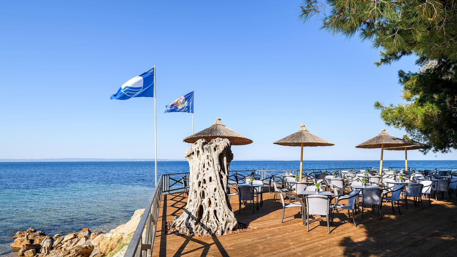 bars-beach-bar