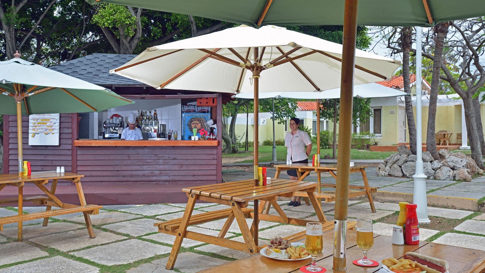 bars-palmeras