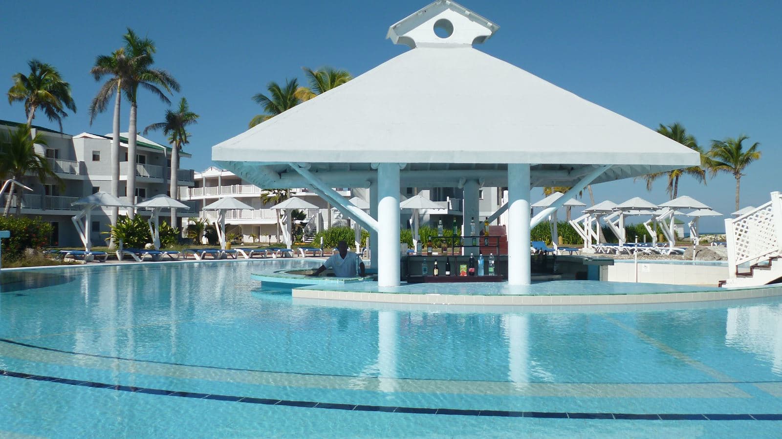 bars-el-delfin