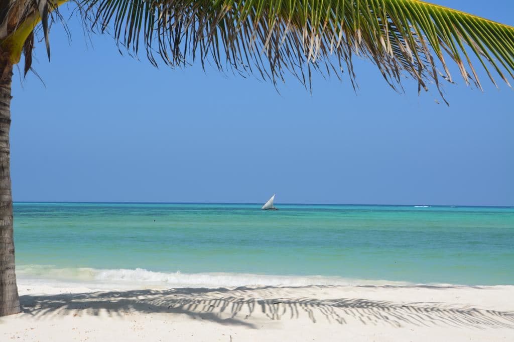 beach-other