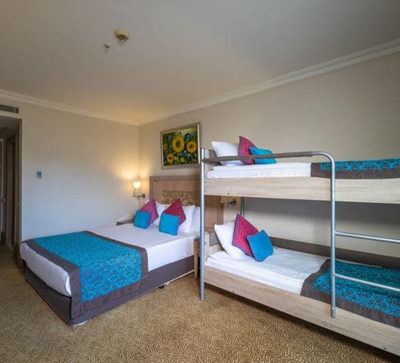 STANDARD ROOM LAND VIEW WITH BUNKBED Номера