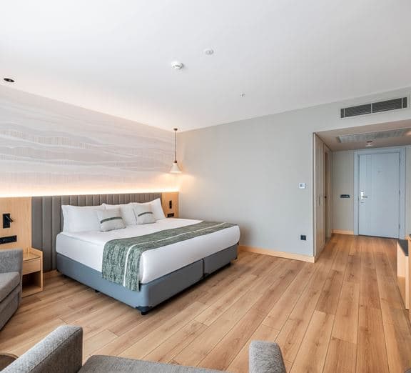 EXECUTIVE LAND VIEW ROOM Номера