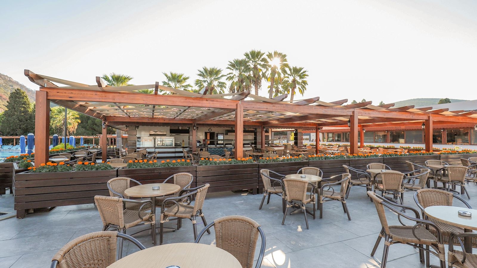 restaurants-snack-bar