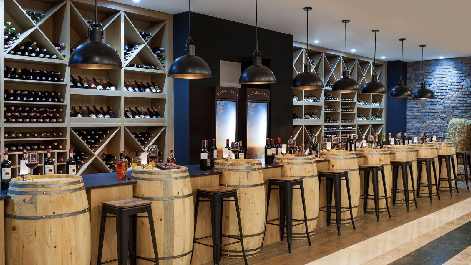 bars-grapes-wine-house