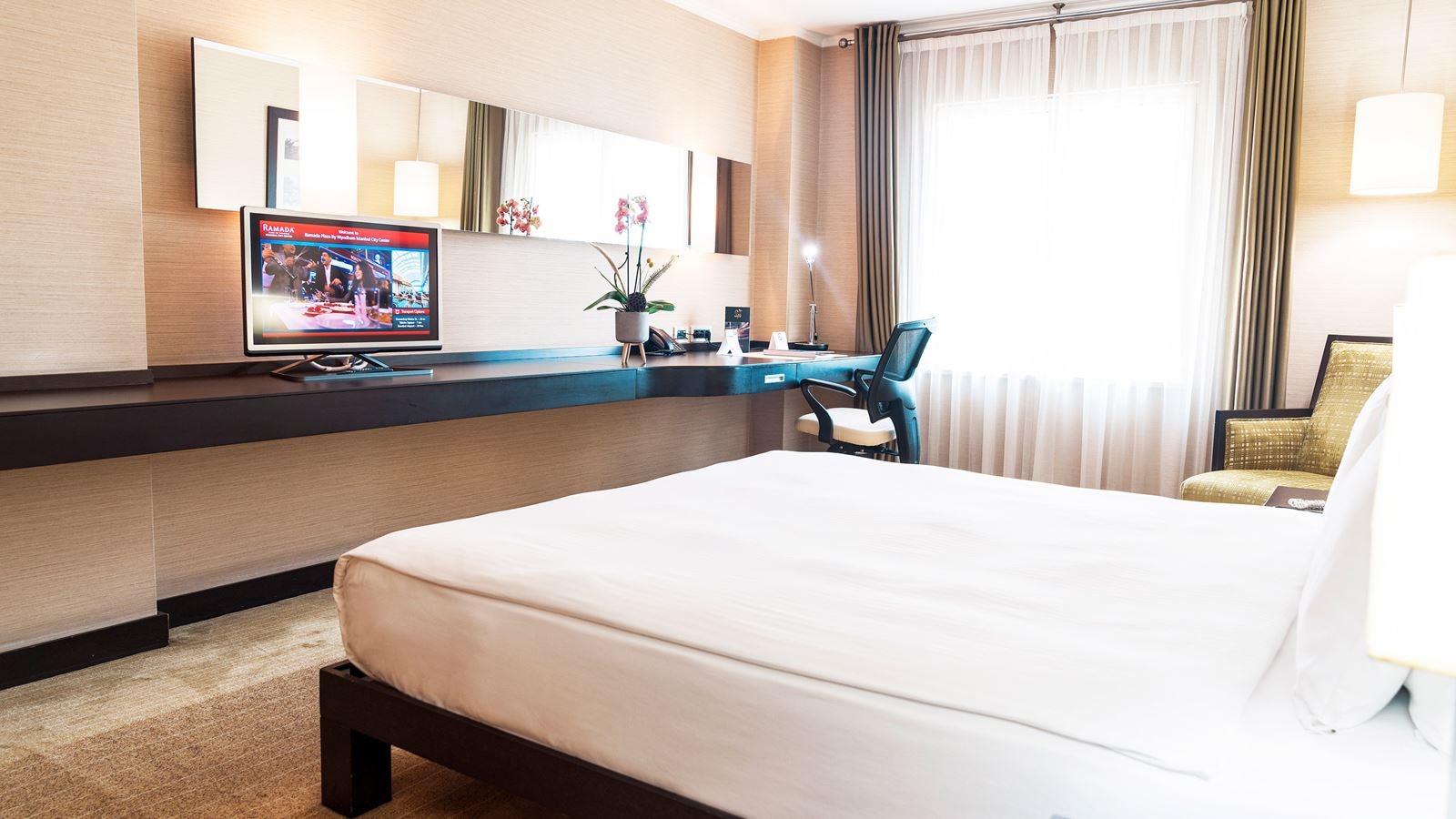 rooms-double-executive