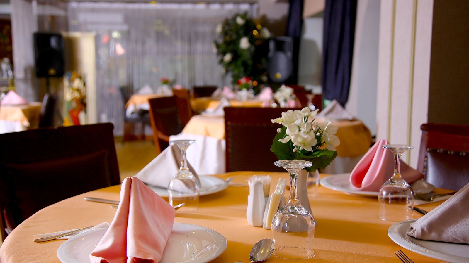 restaurants-restaurants