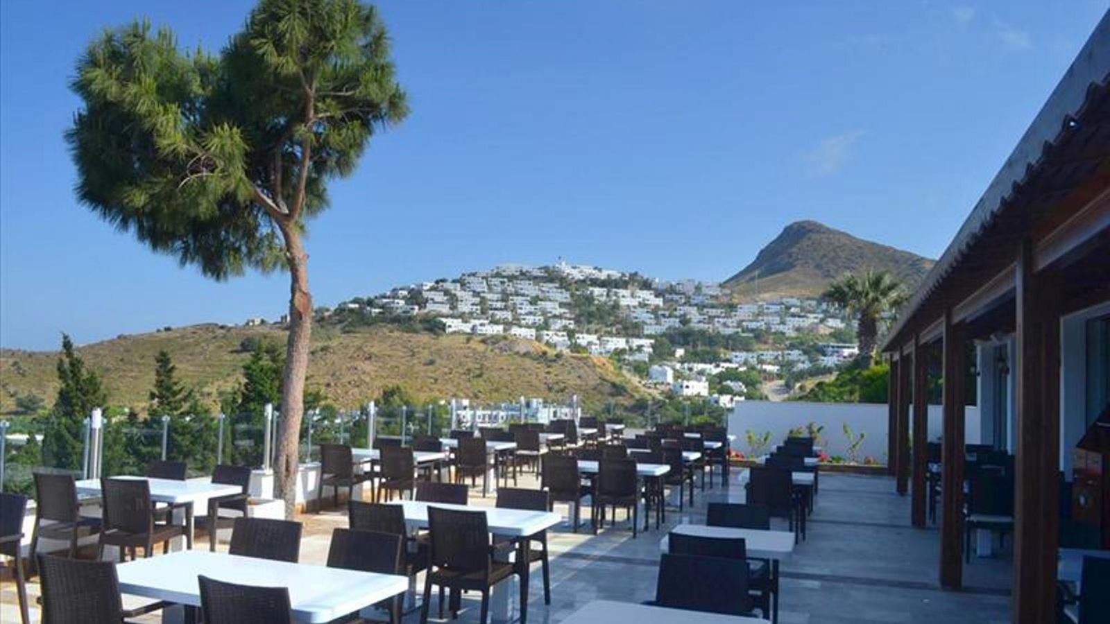 restaurants-main-restaurant