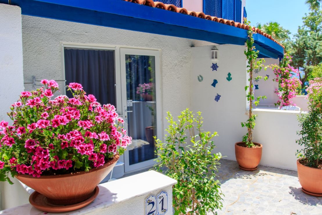 rooms-anex-standard-room