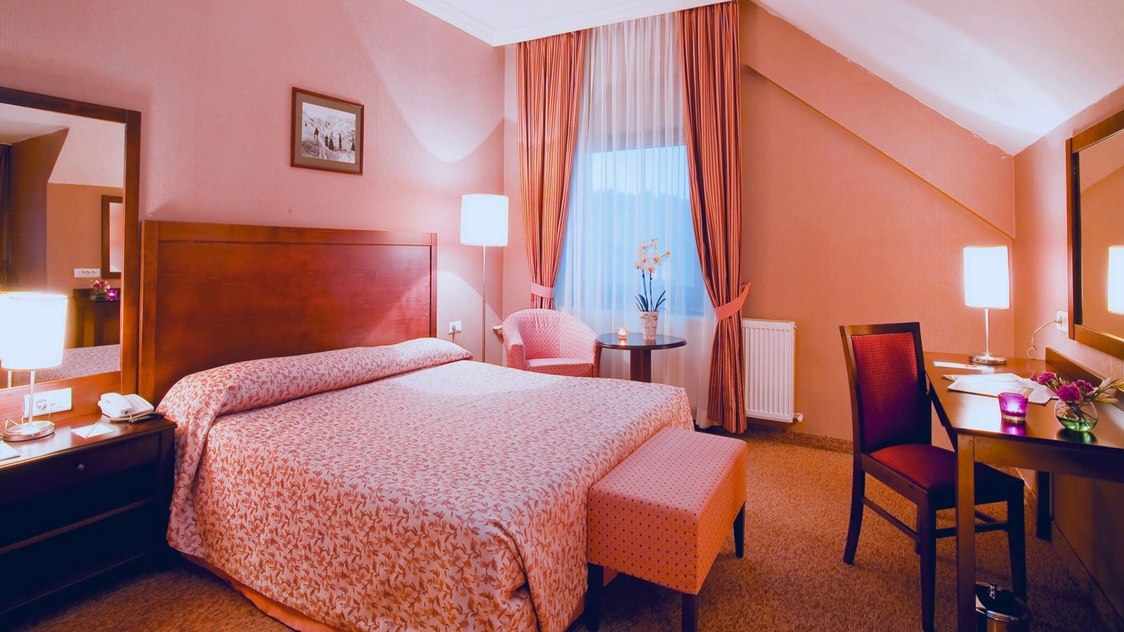 rooms-standart-french-oda