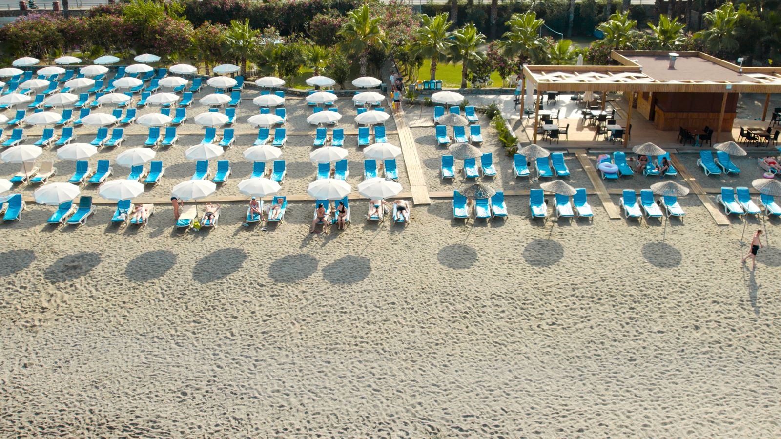 beach-beach