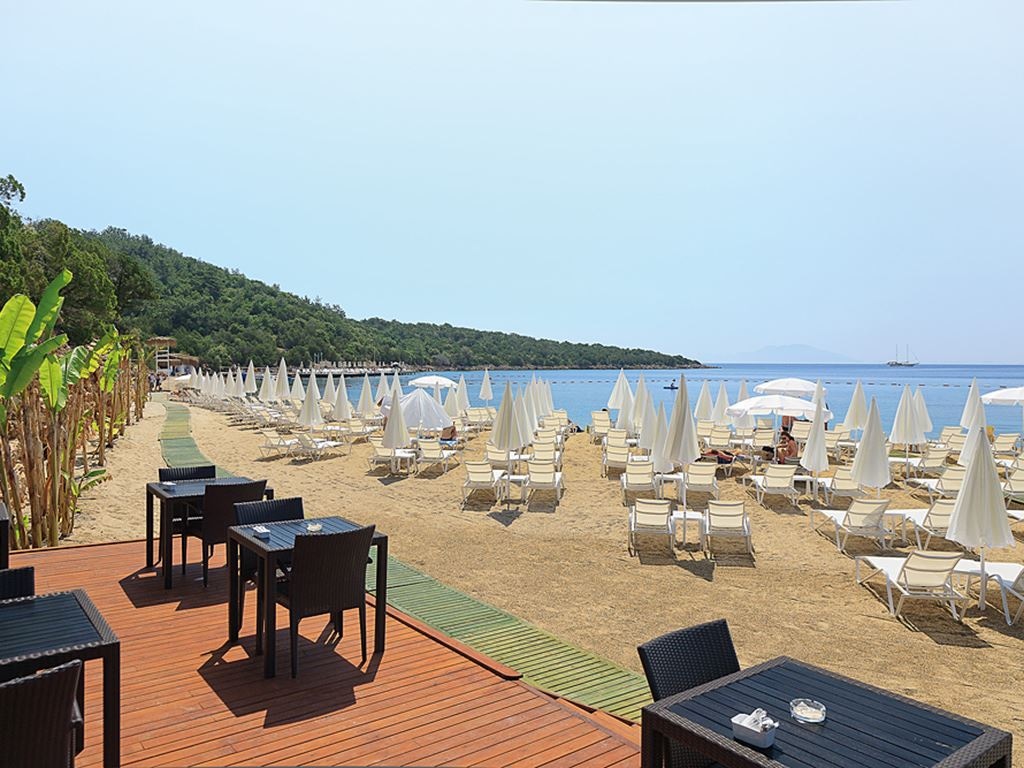 bars-beach-bar