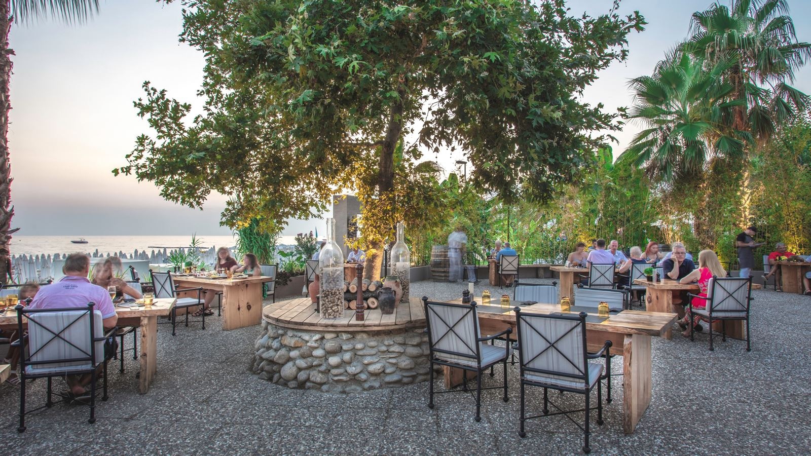 restaurants-curio-grill