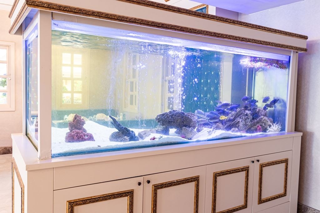 restaurants-aqua-blue-ala-carte