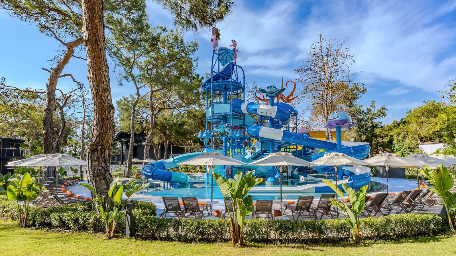 water-park-water-park