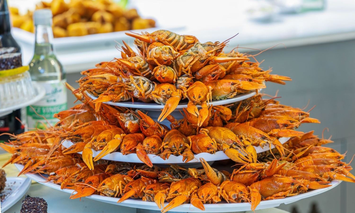 restaurants-main-restaurant