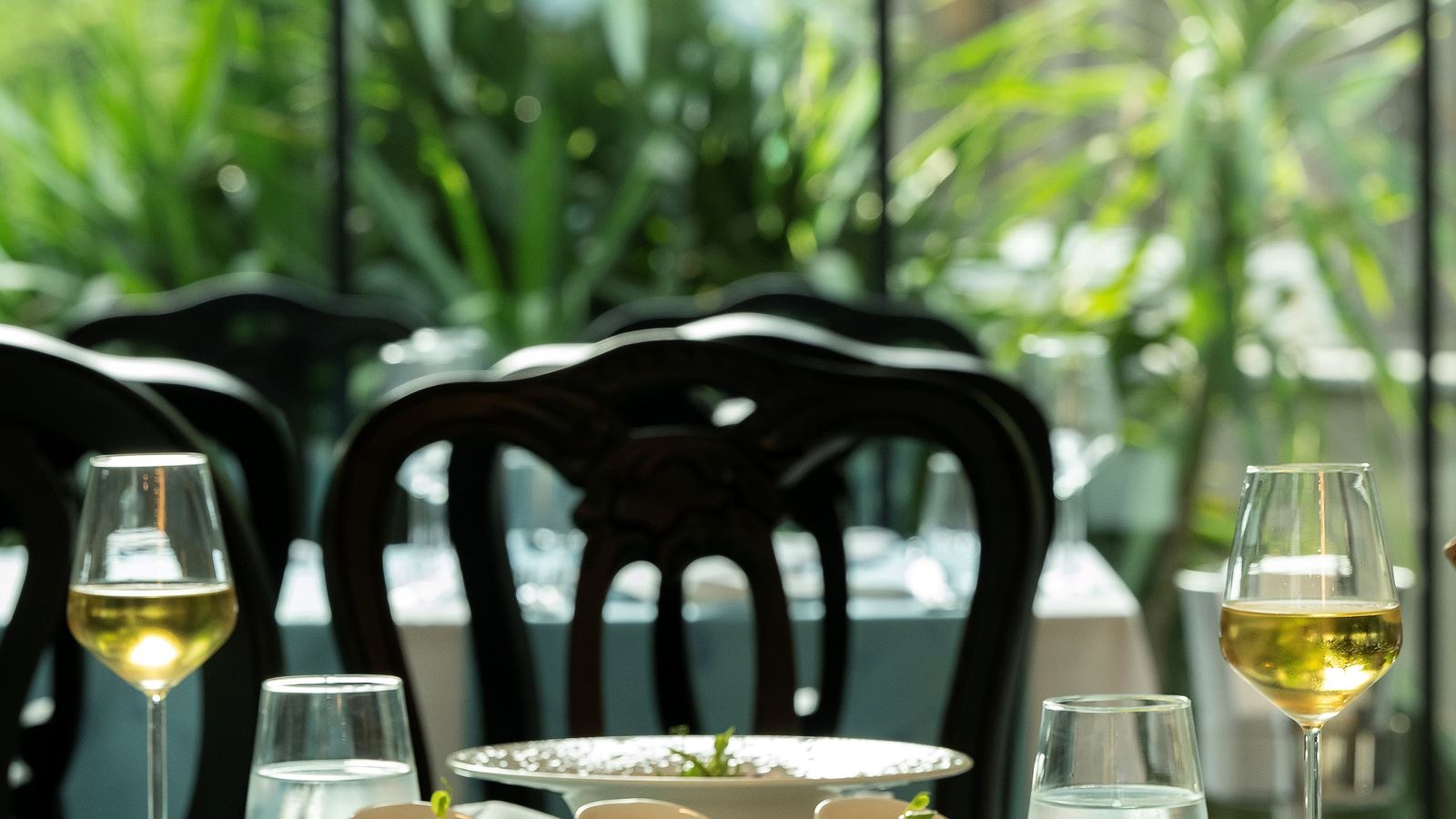 restaurants-chapa-restaurant