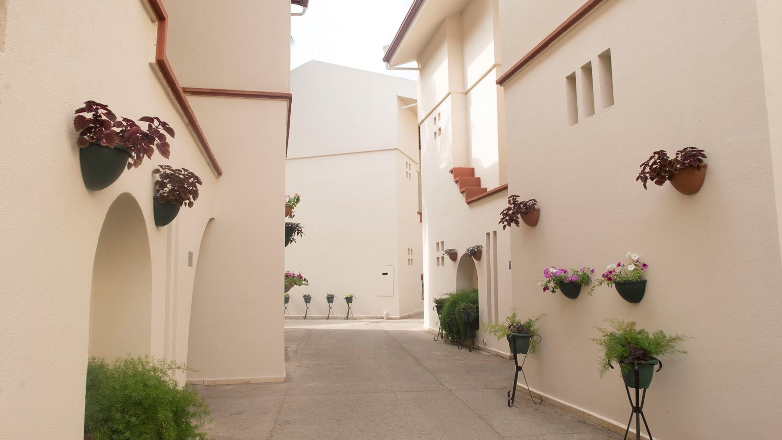 rooms-club-standard-room