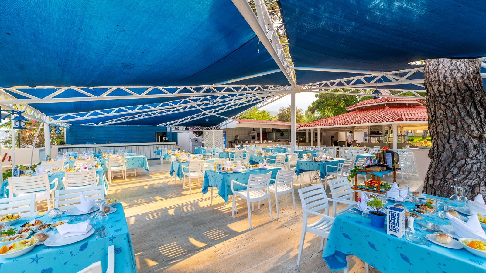 restaurants-fish-restaurant