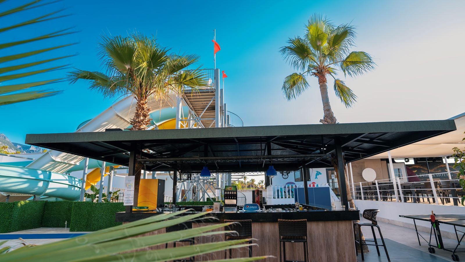 bars-pool--beach-bar