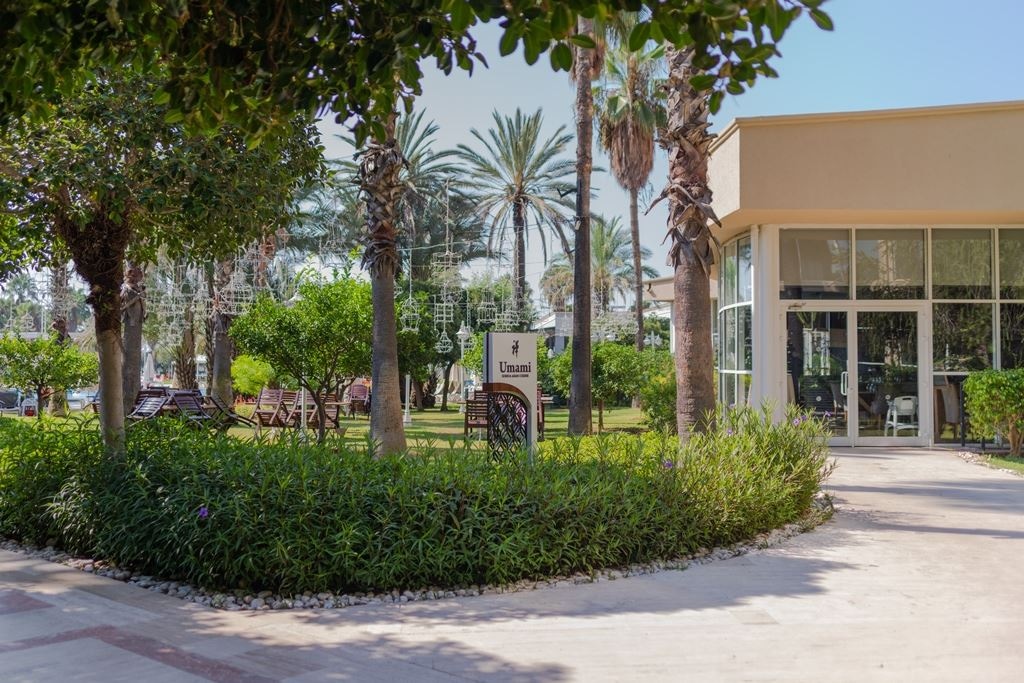 restaurants-umami-sushi-and-asian-cuisine