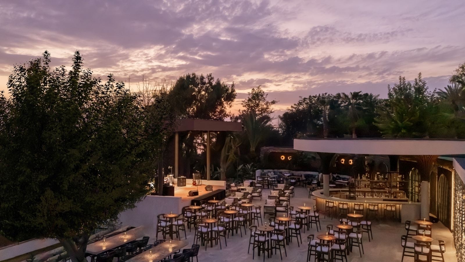 bars-the-251-social-club