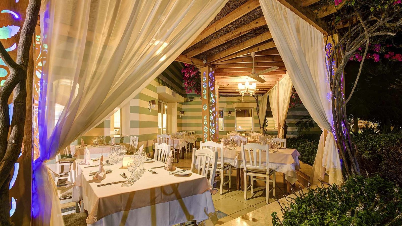 restaurants-restaurants