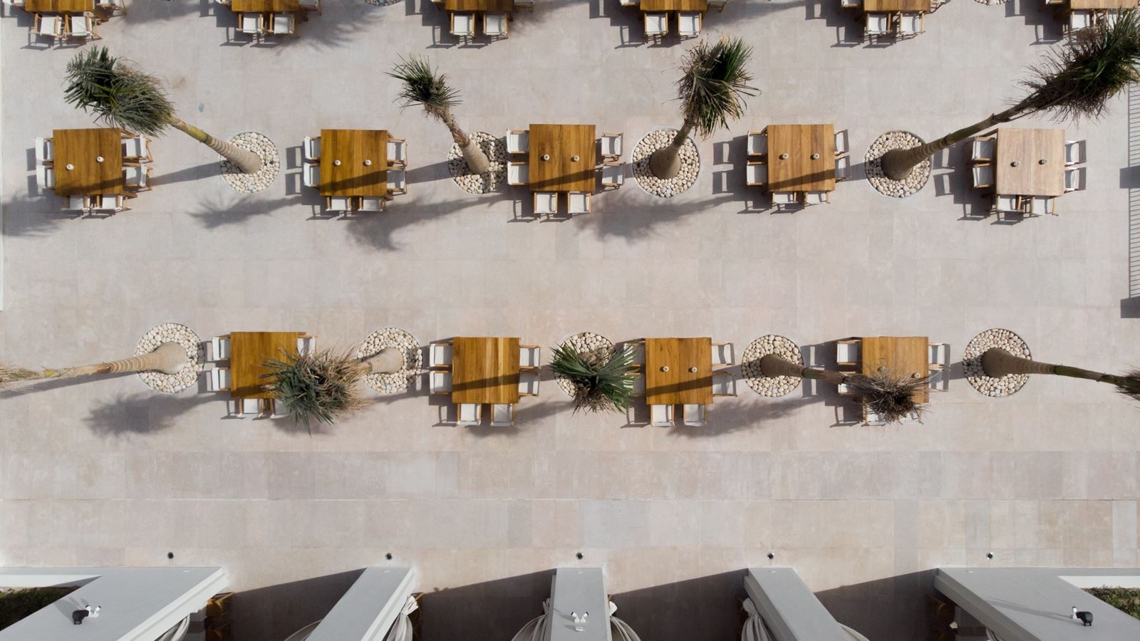 restaurants-sofra-main-restaurant