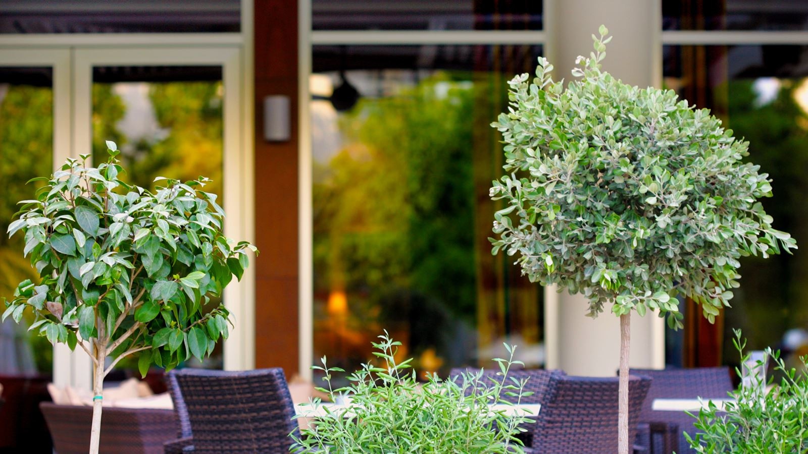 restaurants-ekavi-restaurant