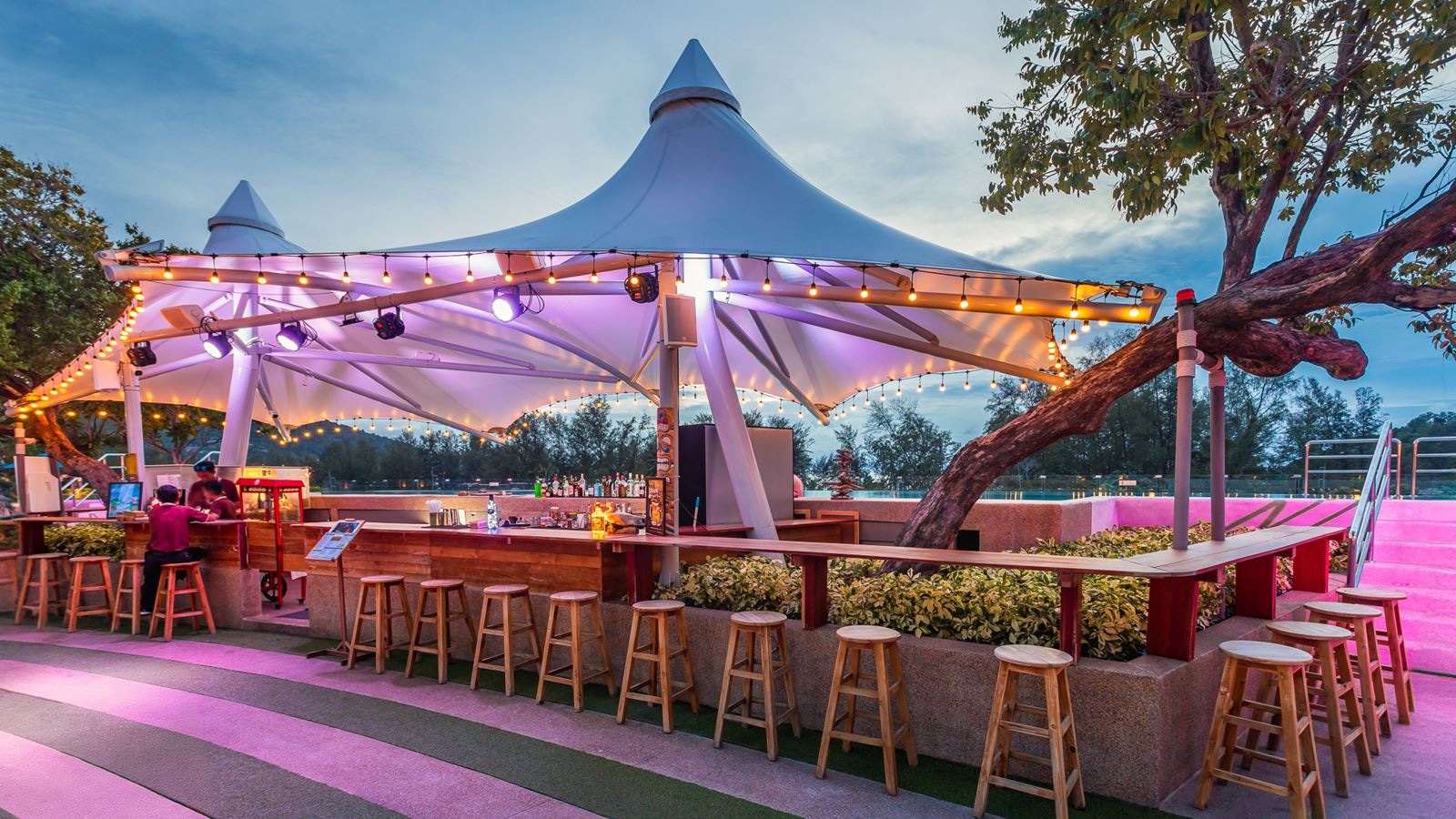 bars-marin-rooftop-bar