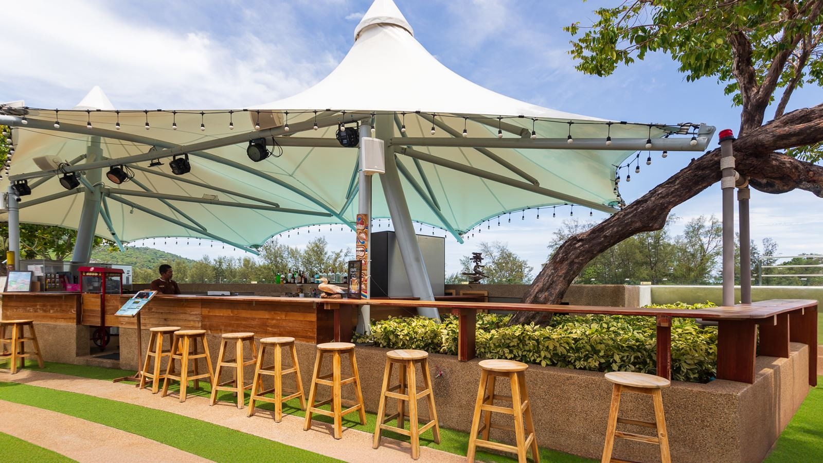 bars-marin-rooftop-bar