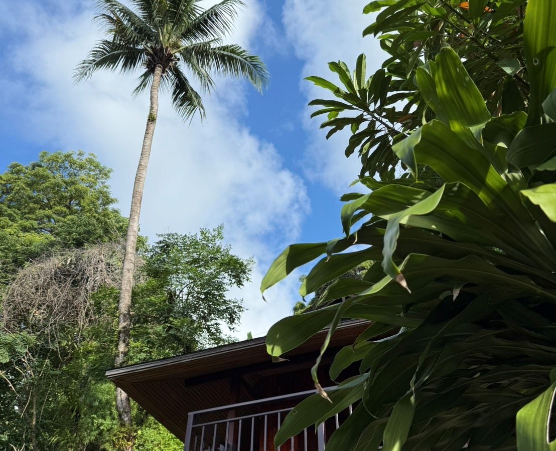 rooms-deluxe-seaview