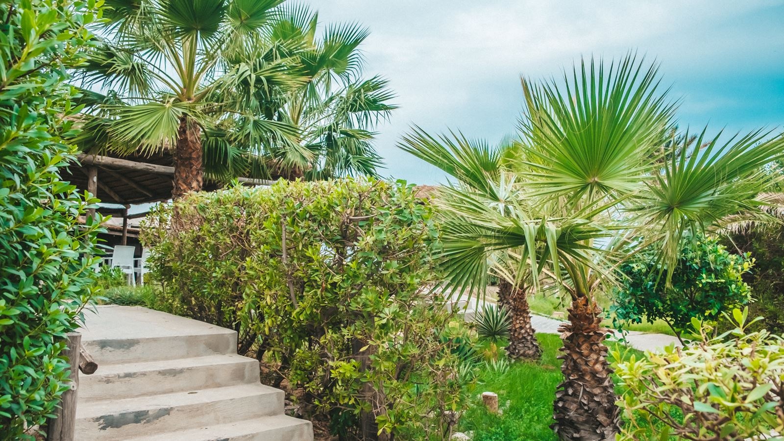 restaurants-restaurant-bbq