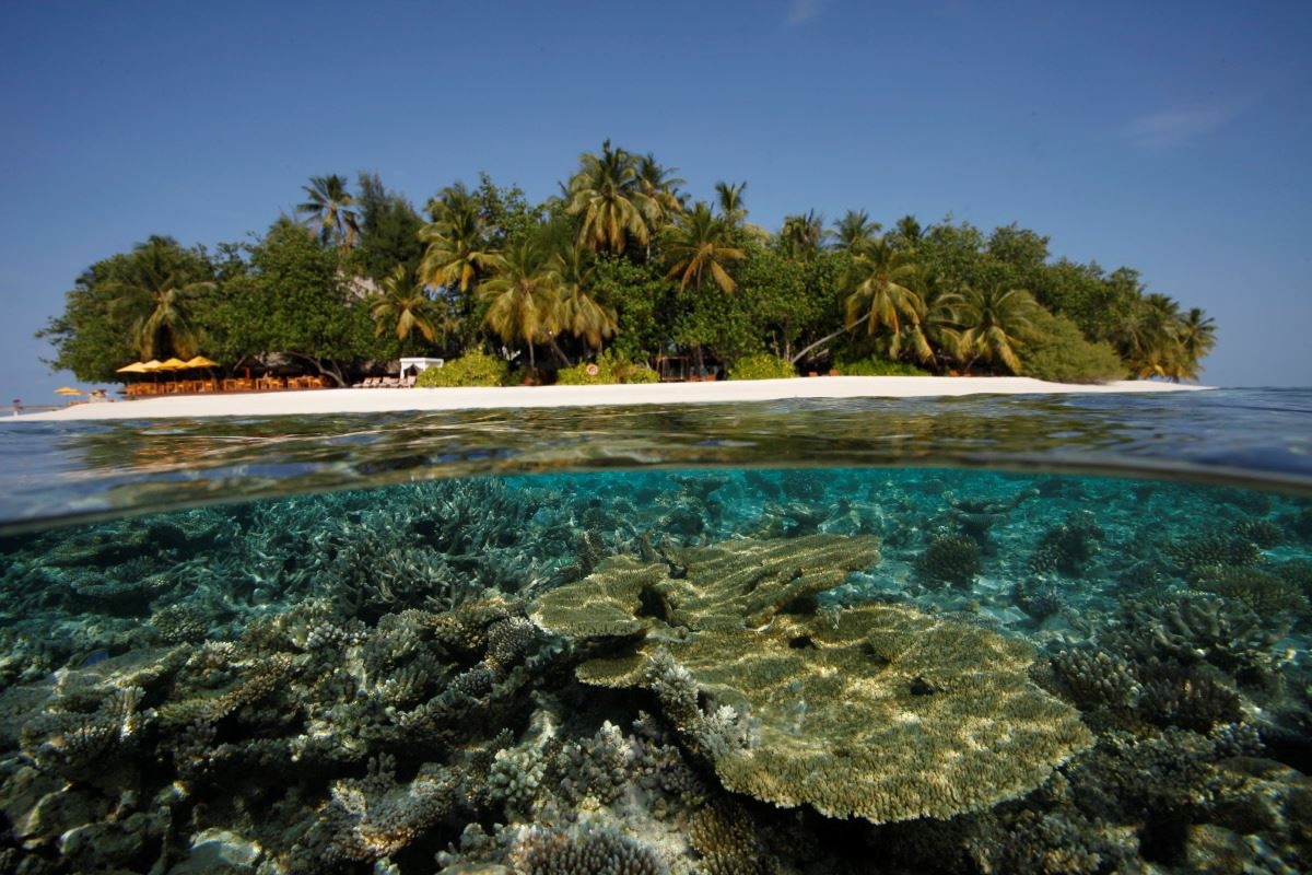 water-park-water-park