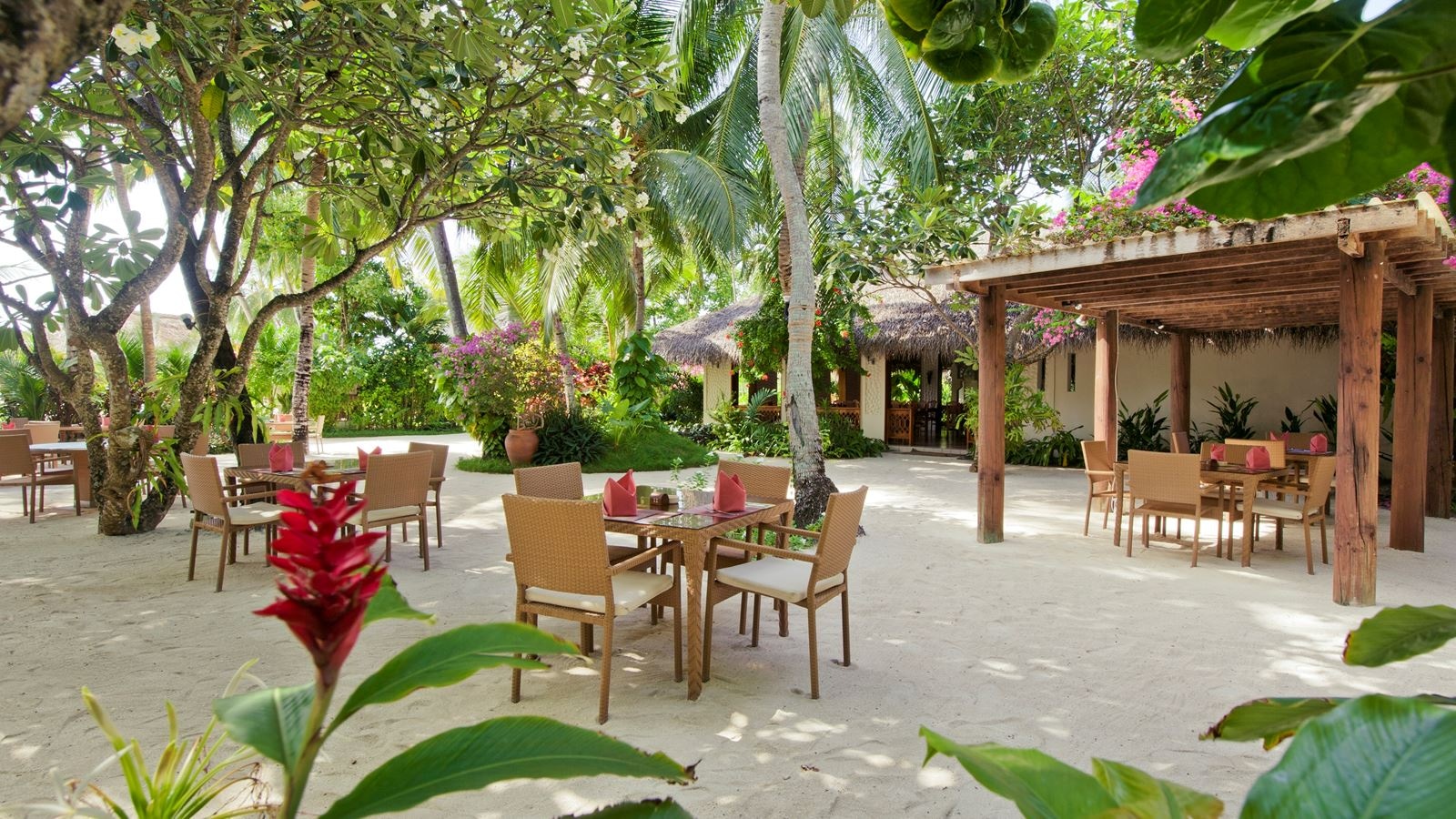 restaurants-island-coffee-shop