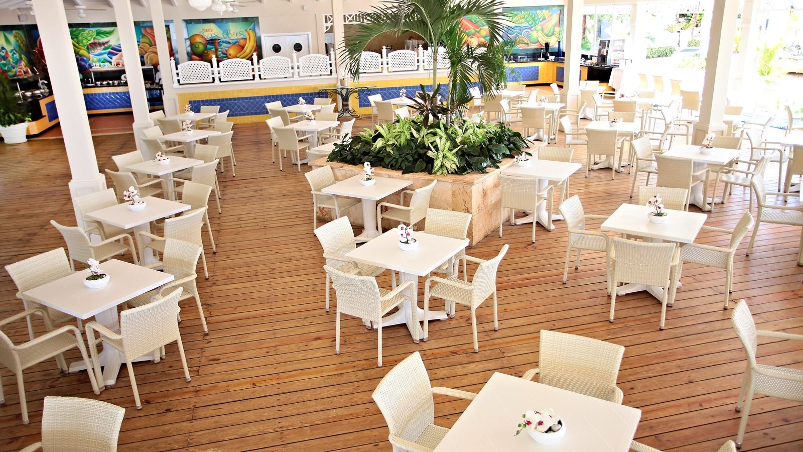 restaurants-las-olas-restaurant