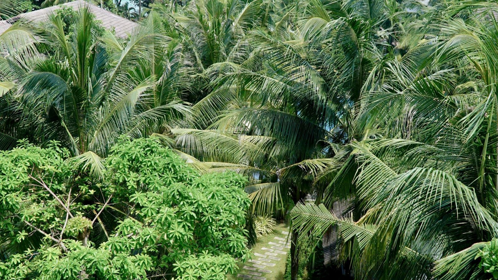 general-annex-building