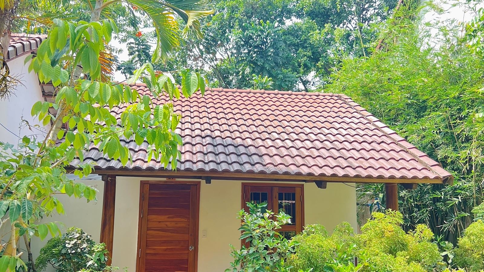 rooms-superior-bungalow-garden-view