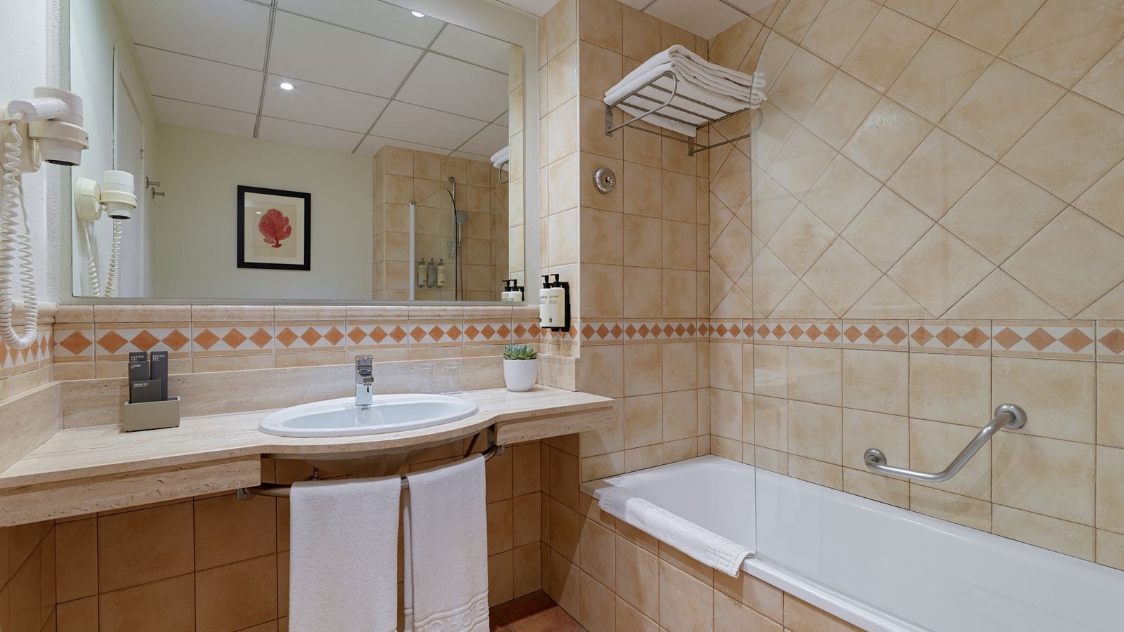 rooms-double-standard-room-poolview