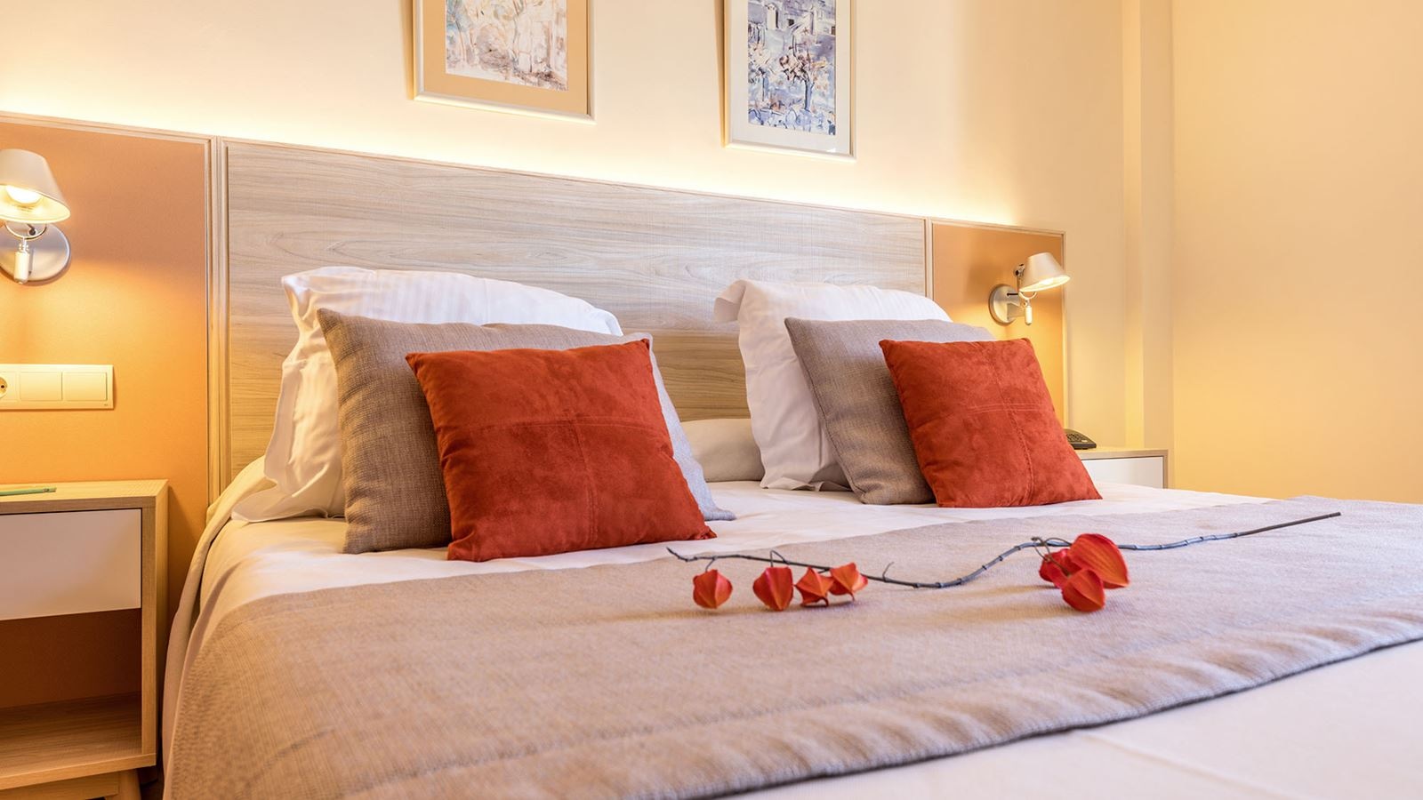 rooms-apt-1-bedroom-selection-club