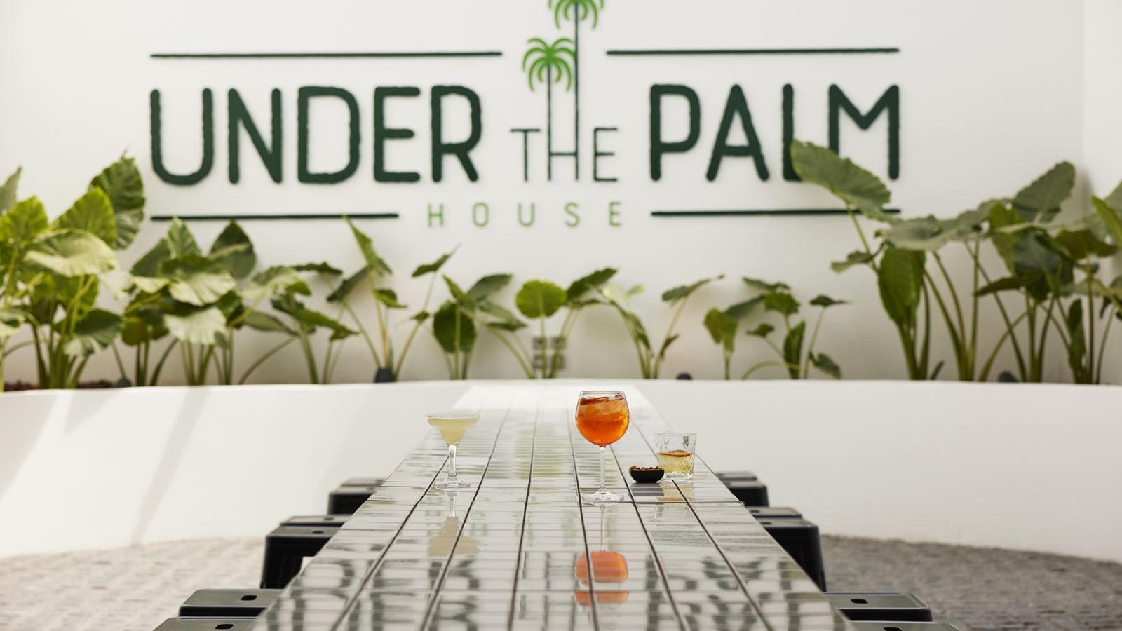 bars-under-the-palm-bar