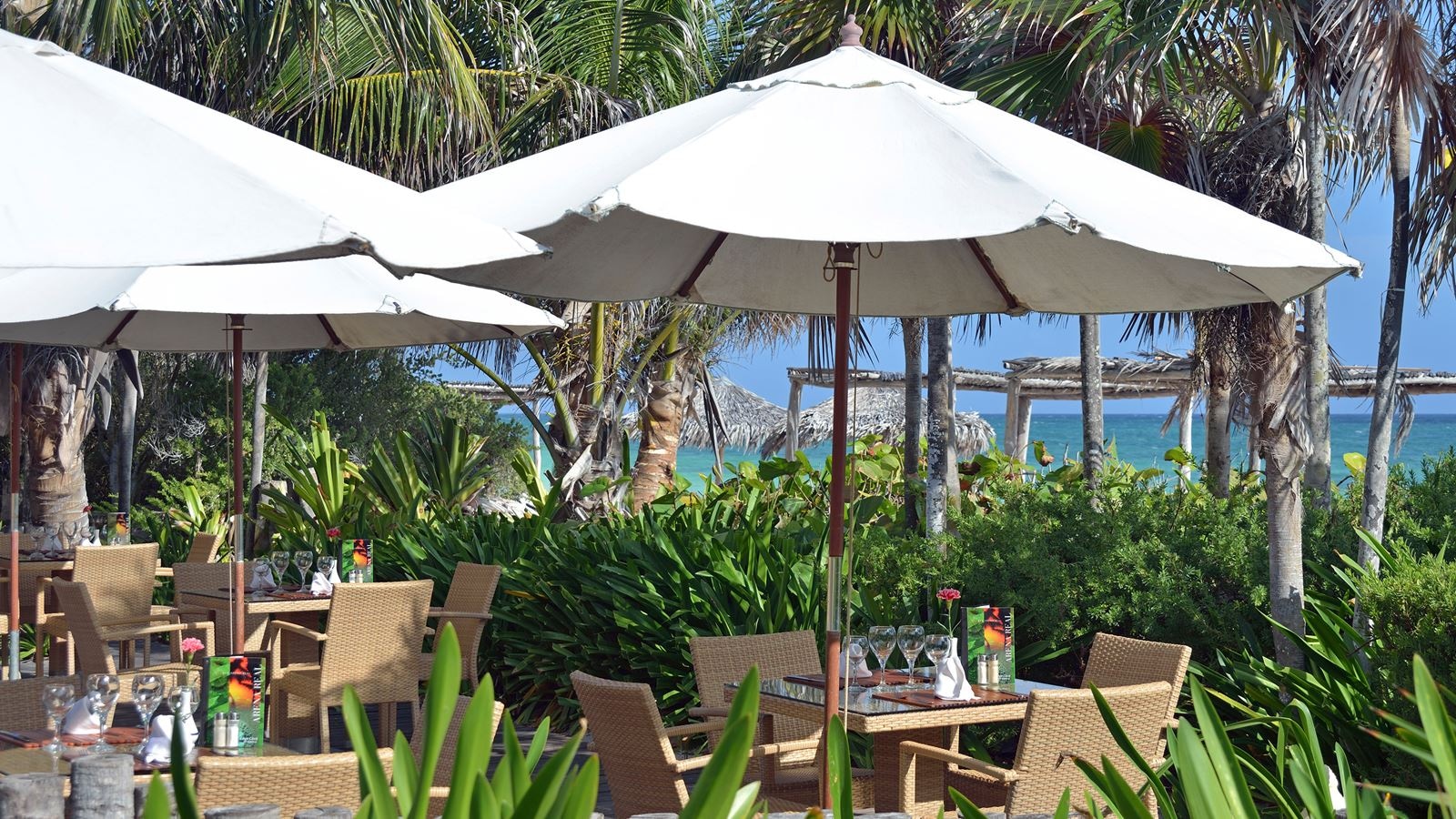 restaurants-arena-real