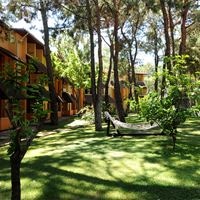 Номера preview