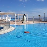 Бассейны preview