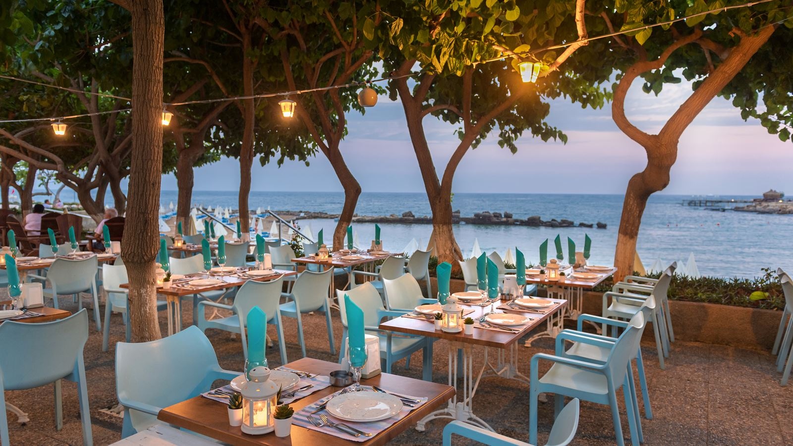 restaurants-ali-baba-a-la-carte-restaurant