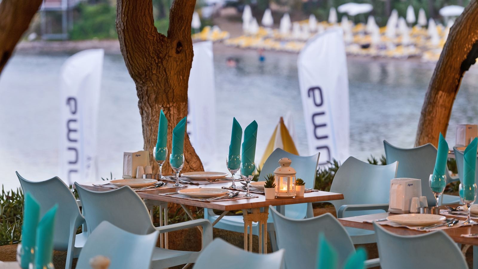 restaurants-ali-baba-a-la-carte-restaurant