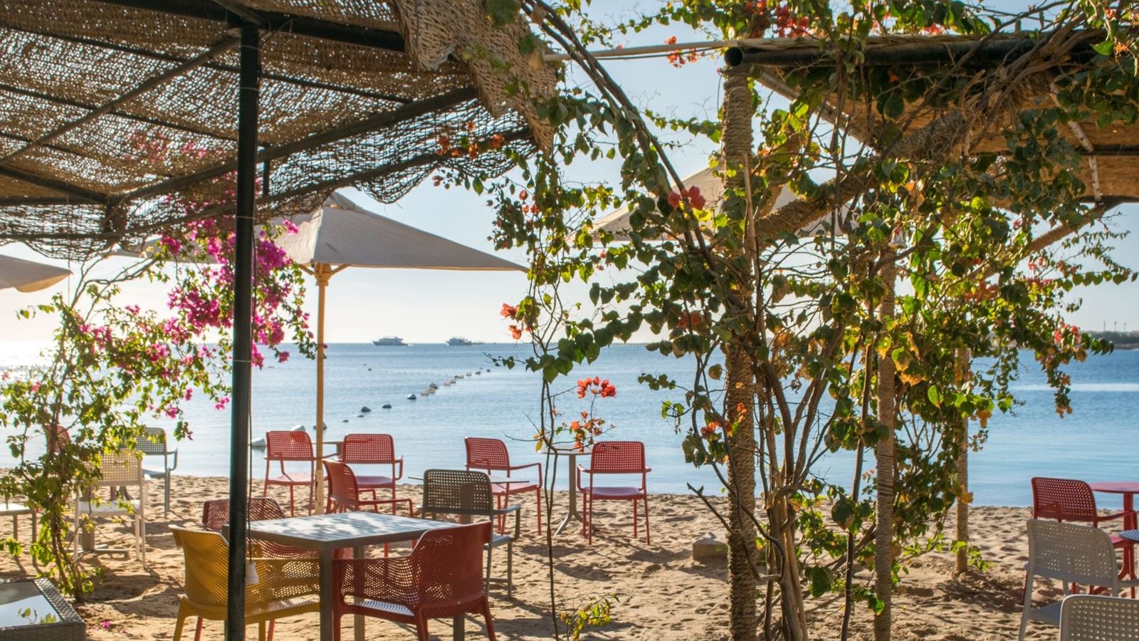 bars-sottovento-adults-only