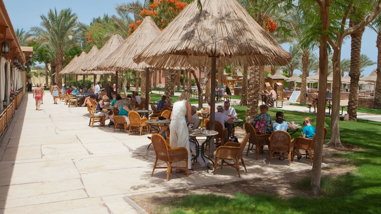 restaurants-oasis-restaurant