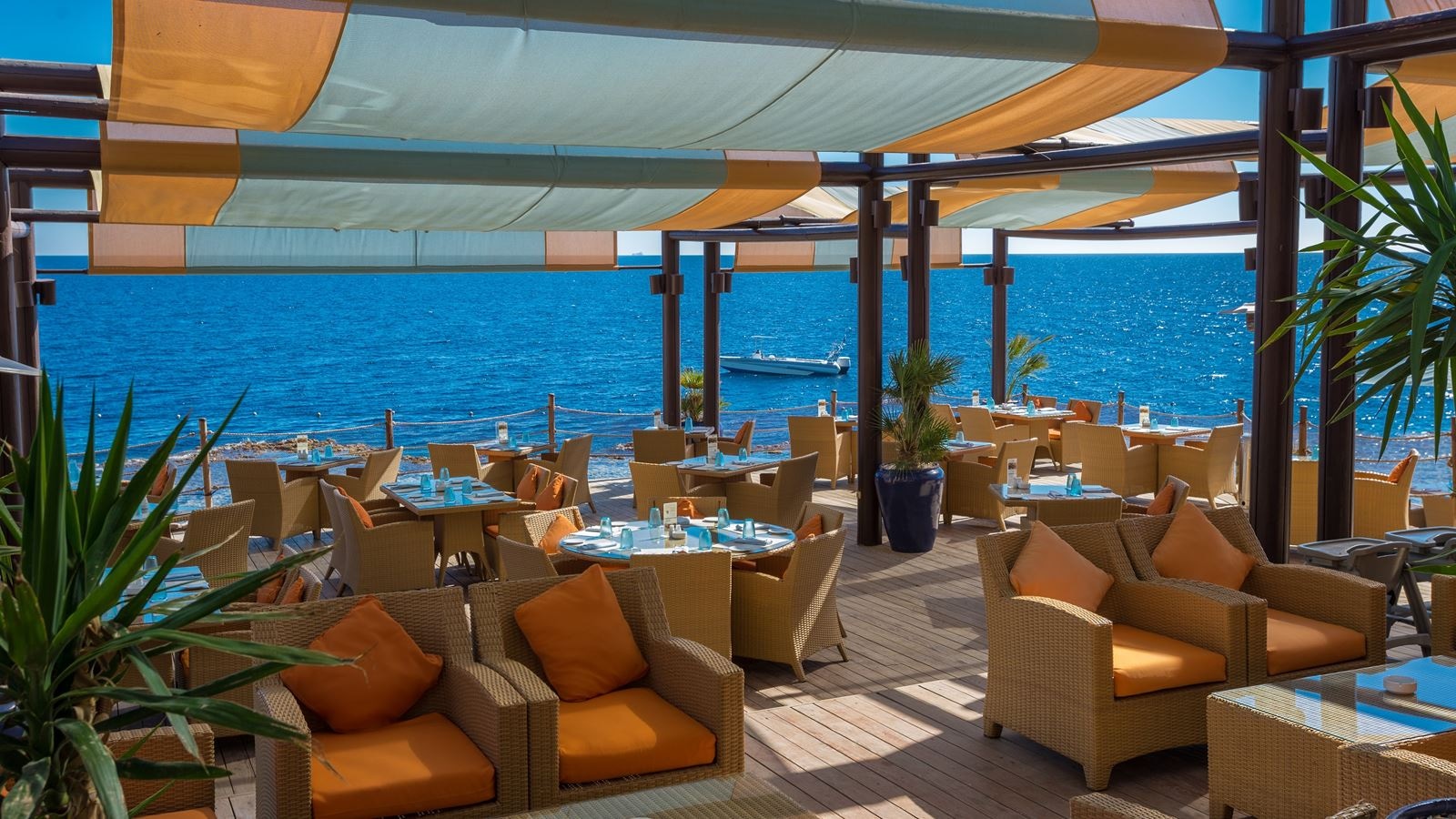 restaurants-palmsgrill