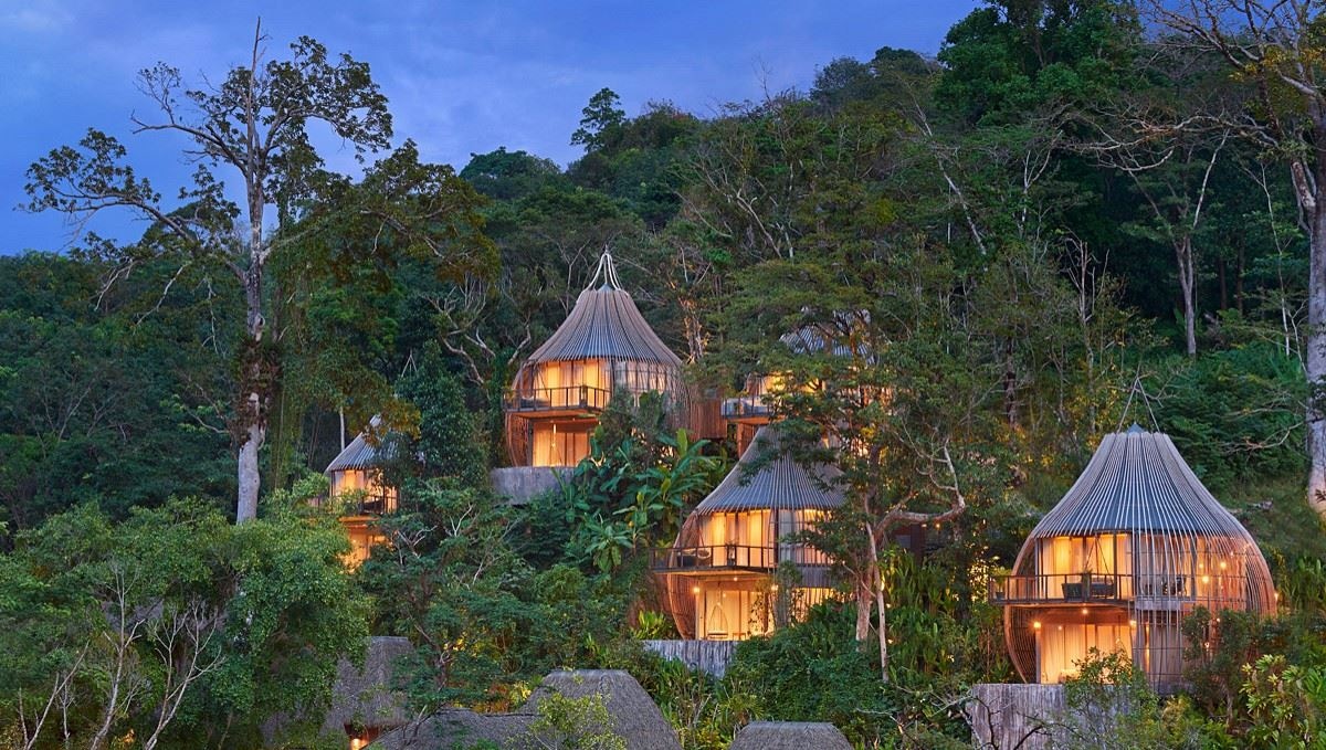 rooms-tree-pool-house