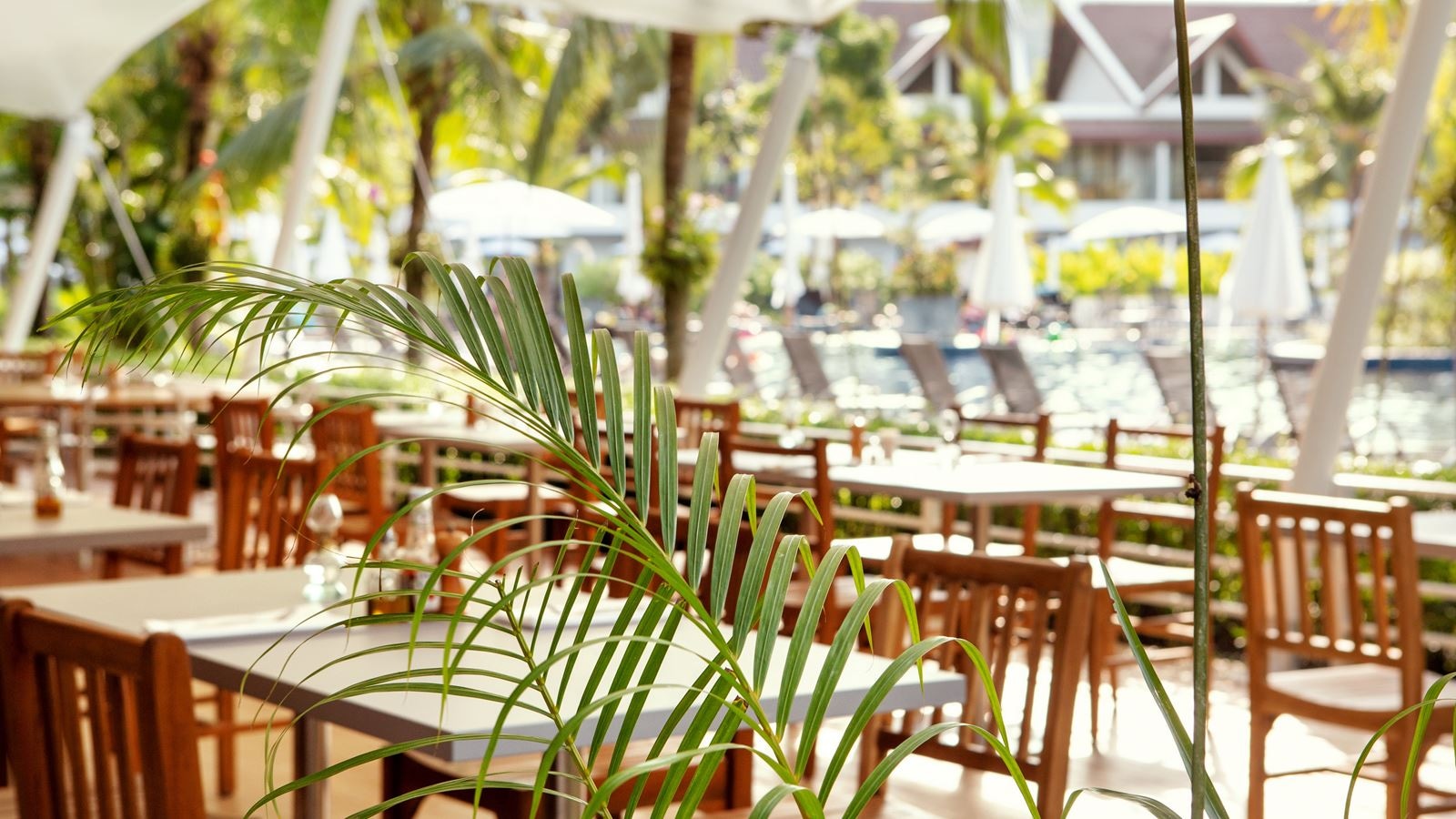 restaurants-soms-kitchen